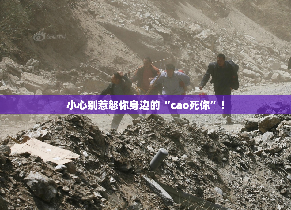 小心别惹怒你身边的“cao死你”！