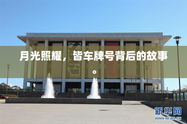 月光照耀，皆车牌号背后的故事。
