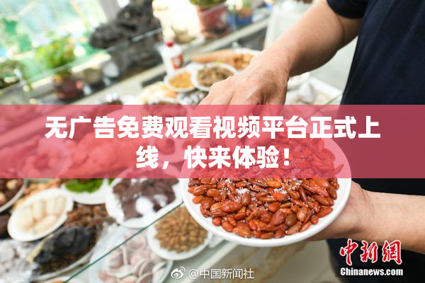 无广告免费观看视频平台正式上线，快来体验！