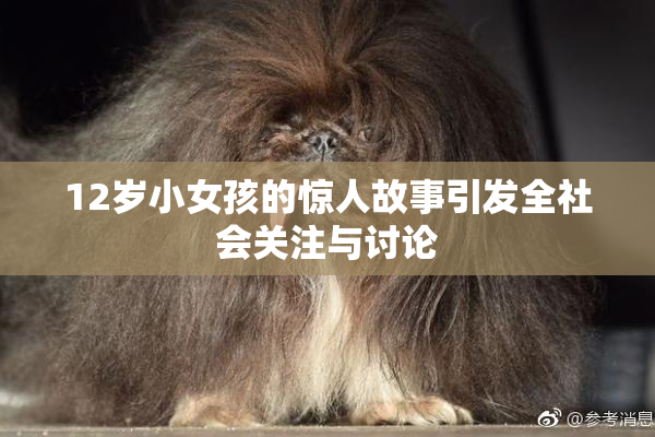 12岁小女孩的惊人故事引发全社会关注与讨论