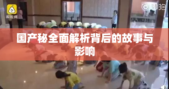 国产秘全面解析背后的故事与影响