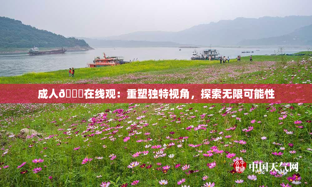 成人🔞在线观：重塑独特视角，探索无限可能性