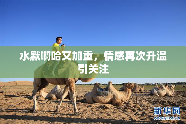 水默啊哈又加重，情感再次升温引关注