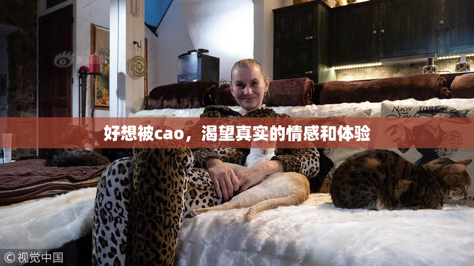 好想被cao，渴望真实的情感和体验