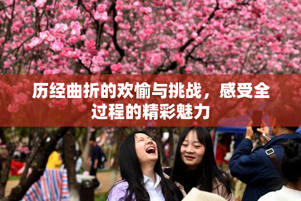 历经曲折的欢愉与挑战，感受全过程的精彩魅力