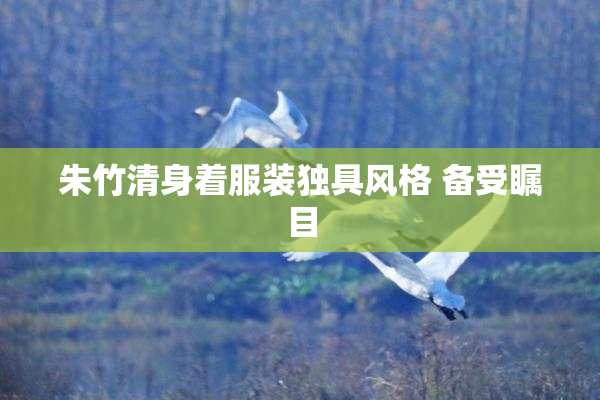 朱竹清身着服装独具风格 备受瞩目