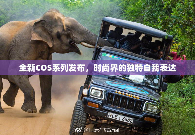 全新COS系列发布，时尚界的独特自我表达