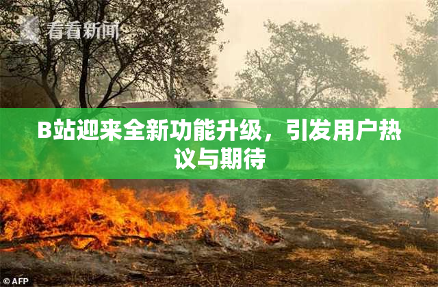 B站迎来全新功能升级，引发用户热议与期待