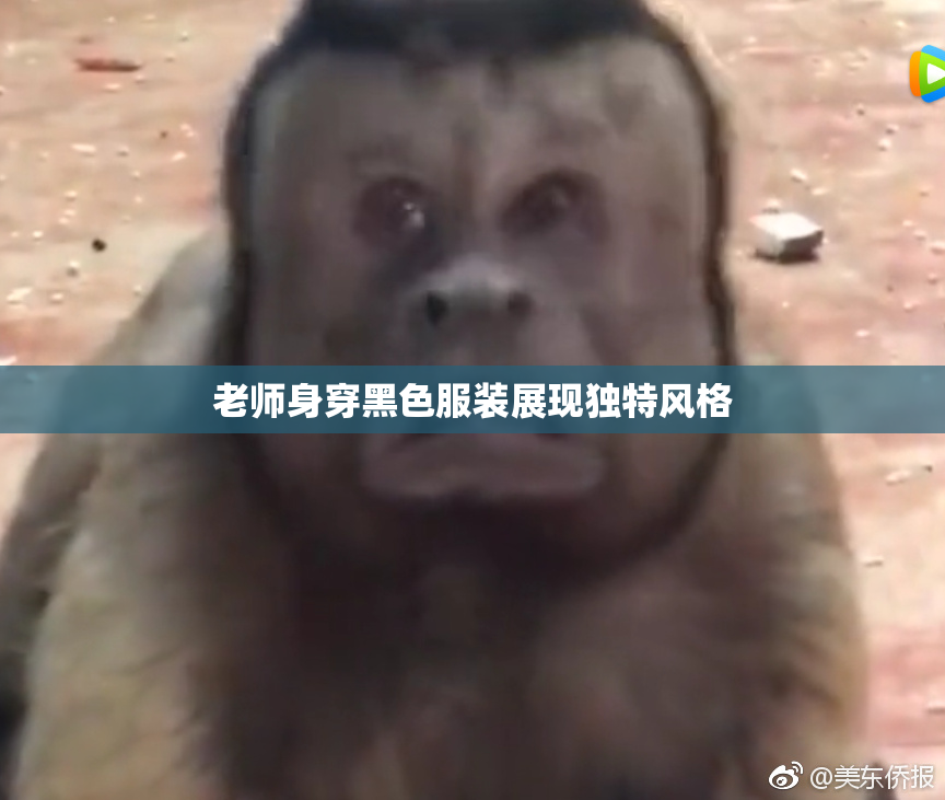 老师身穿黑色服装展现独特风格
