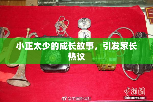 小正太少的成长故事，引发家长热议