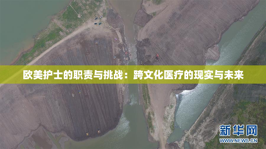 欧美护士的职责与挑战：跨文化医疗的现实与未来