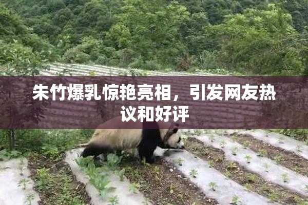 朱竹爆乳惊艳亮相，引发网友热议和好评