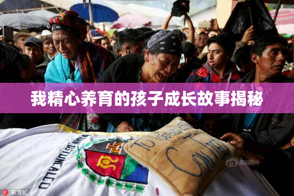 我精心养育的孩子成长故事揭秘