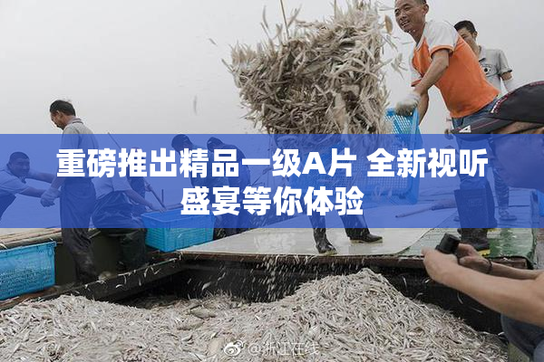 重磅推出精品一级A片 全新视听盛宴等你体验