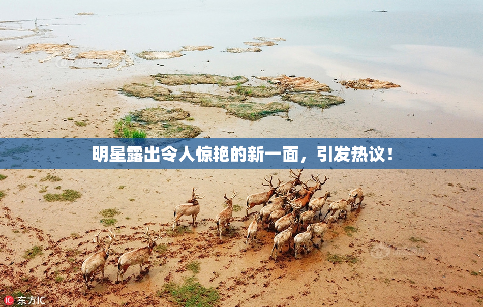 明星露出令人惊艳的新一面，引发热议！