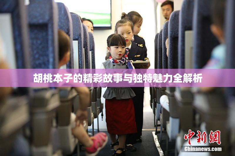胡桃本子的精彩故事与独特魅力全解析