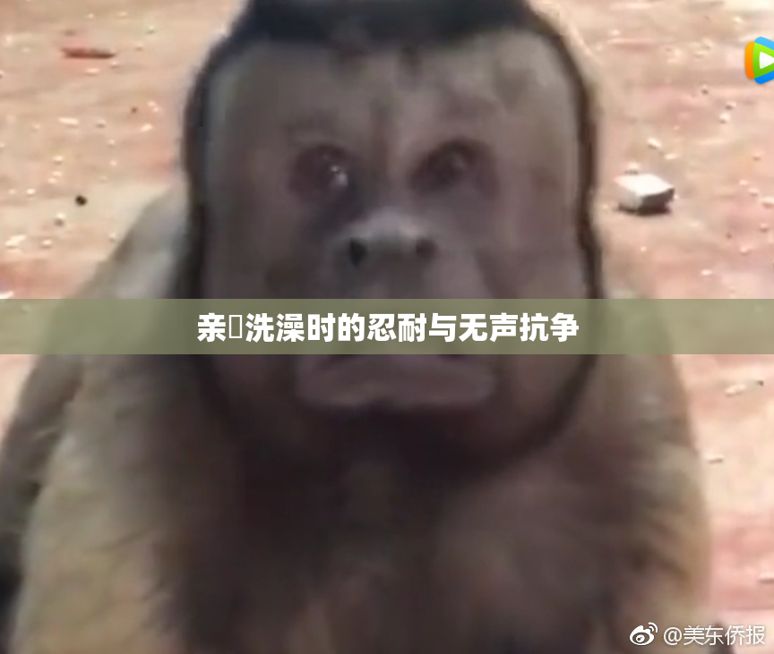 亲妺洗澡时的忍耐与无声抗争