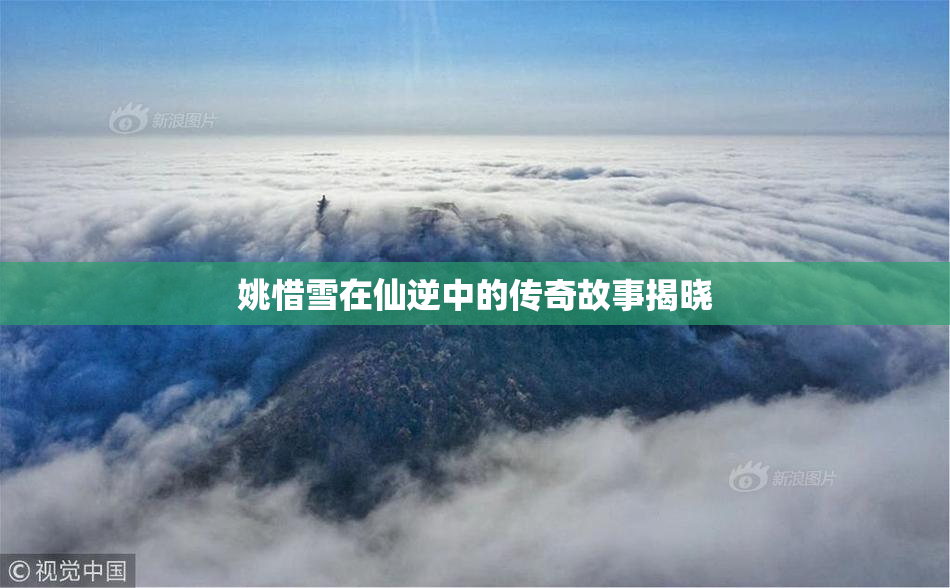 姚惜雪在仙逆中的传奇故事揭晓