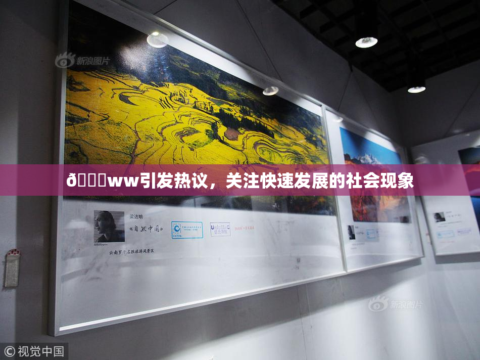 🔞ww引发热议，关注快速发展的社会现象