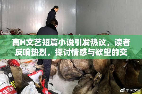 高H文艺短篇小说引发热议，读者反响热烈，探讨情感与欲望的交织