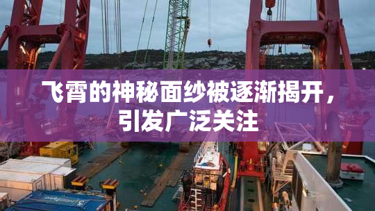 飞霄的神秘面纱被逐渐揭开，引发广泛关注