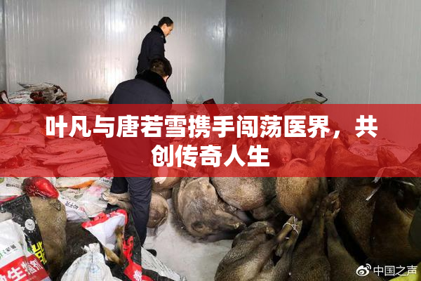 叶凡与唐若雪携手闯荡医界，共创传奇人生