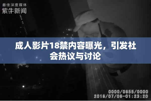 成人影片18禁内容曝光，引发社会热议与讨论