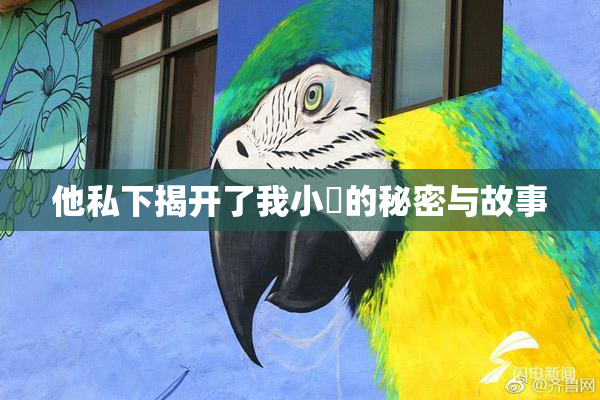 他私下揭开了我小泬的秘密与故事