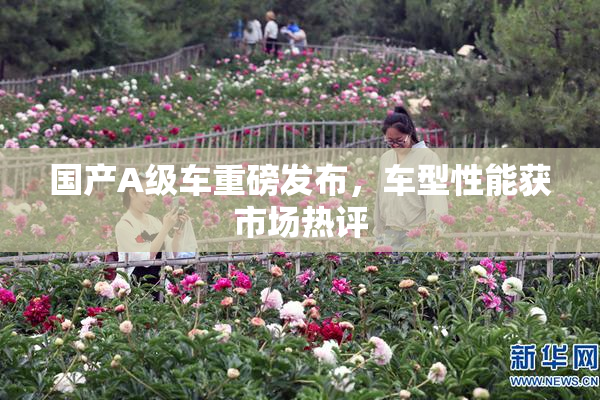 国产A级车重磅发布，车型性能获市场热评
