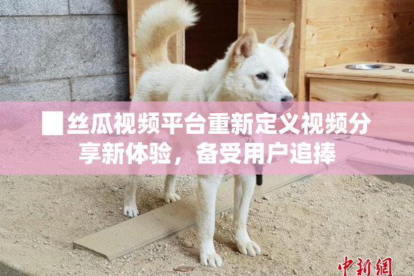 ▉丝瓜视频平台重新定义视频分享新体验，备受用户追捧