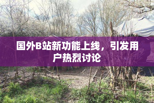 国外B站新功能上线，引发用户热烈讨论