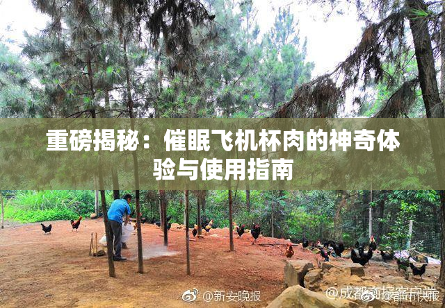 重磅揭秘：催眠飞机杯肉的神奇体验与使用指南