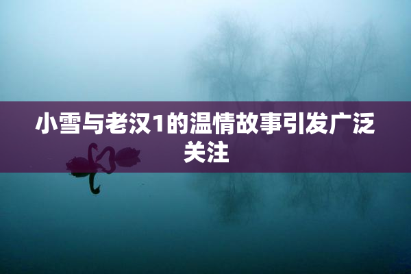 小雪与老汉1的温情故事引发广泛关注