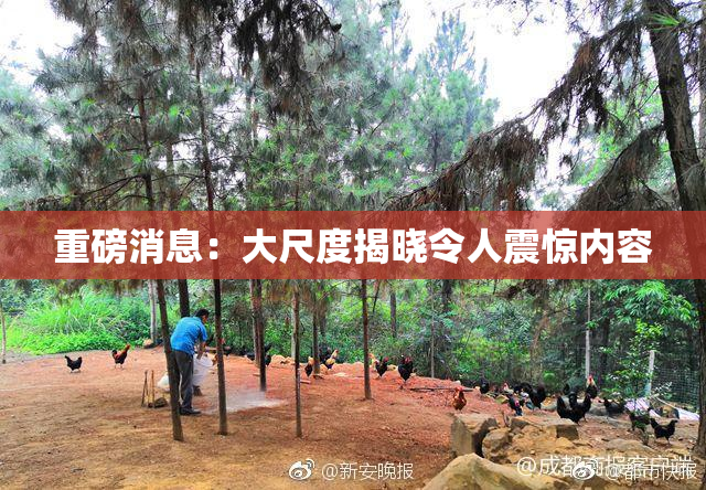 重磅消息：大尺度揭晓令人震惊内容