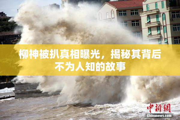 柳神被扒真相曝光，揭秘其背后不为人知的故事