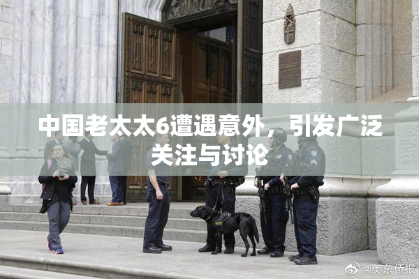 中国老太太6遭遇意外，引发广泛关注与讨论