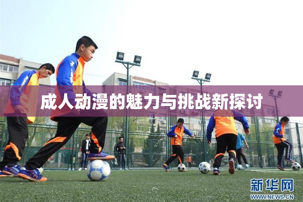 成人动漫的魅力与挑战新探讨