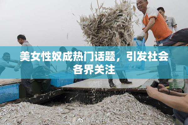 美女性奴成热门话题，引发社会各界关注