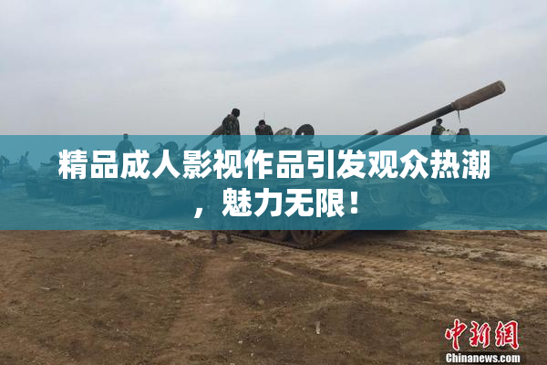 精品成人影视作品引发观众热潮，魅力无限！