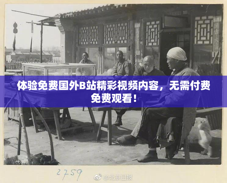 体验免费国外B站精彩视频内容，无需付费免费观看！