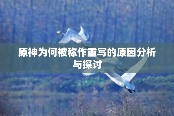 原神为何被称作重写的原因分析与探讨