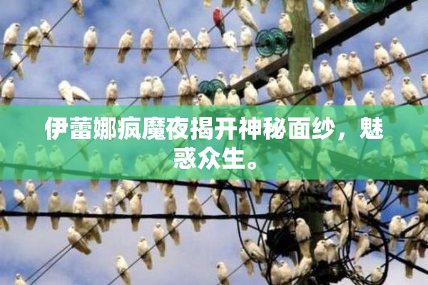 伊蕾娜疯魔夜揭开神秘面纱，魅惑众生。