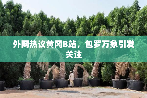 外网热议黄冈B站，包罗万象引发关注