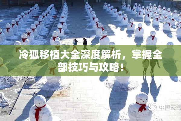 冷狐移植大全深度解析，掌握全部技巧与攻略！