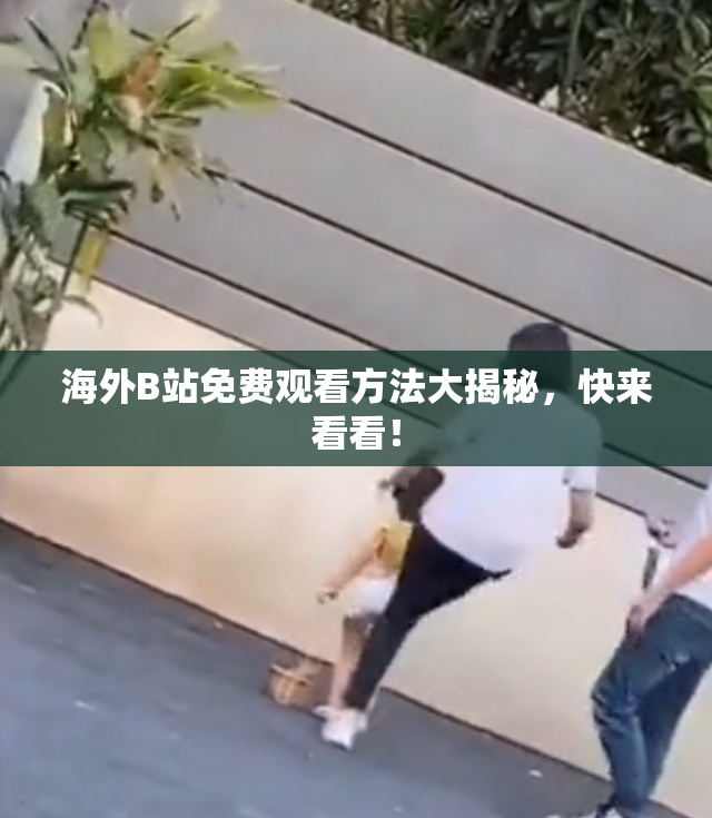 海外B站免费观看方法大揭秘，快来看看！