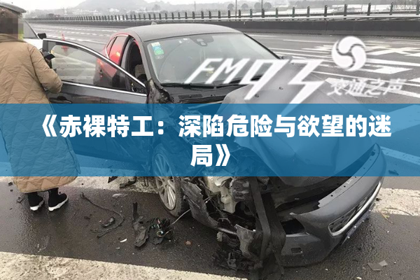 《赤裸特工：深陷危险与欲望的迷局》
