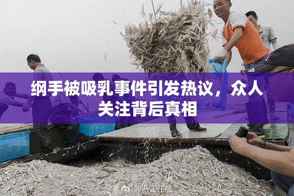 纲手被吸乳事件引发热议，众人关注背后真相