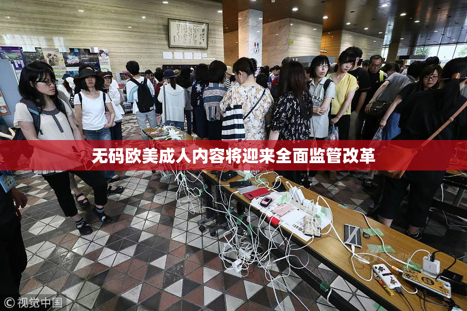 无码欧美成人内容将迎来全面监管改革