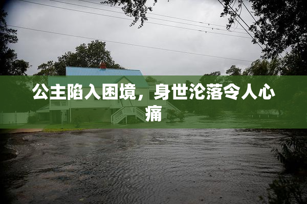 公主陷入困境，身世沦落令人心痛