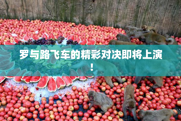 罗与路飞车的精彩对决即将上演！